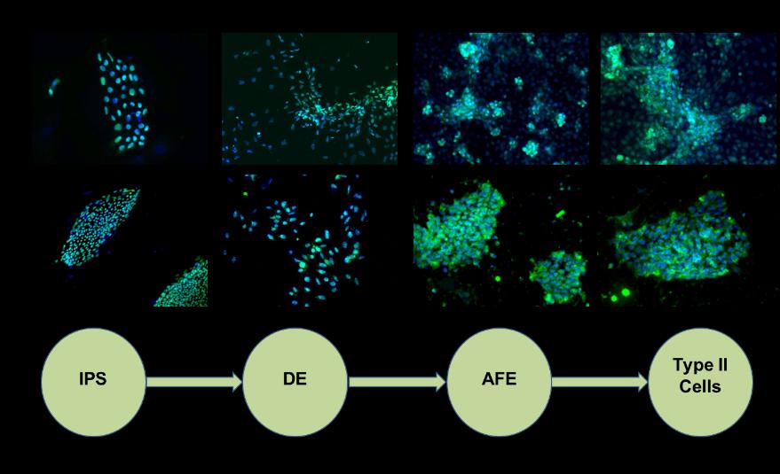 Descriptive text is not available for this image