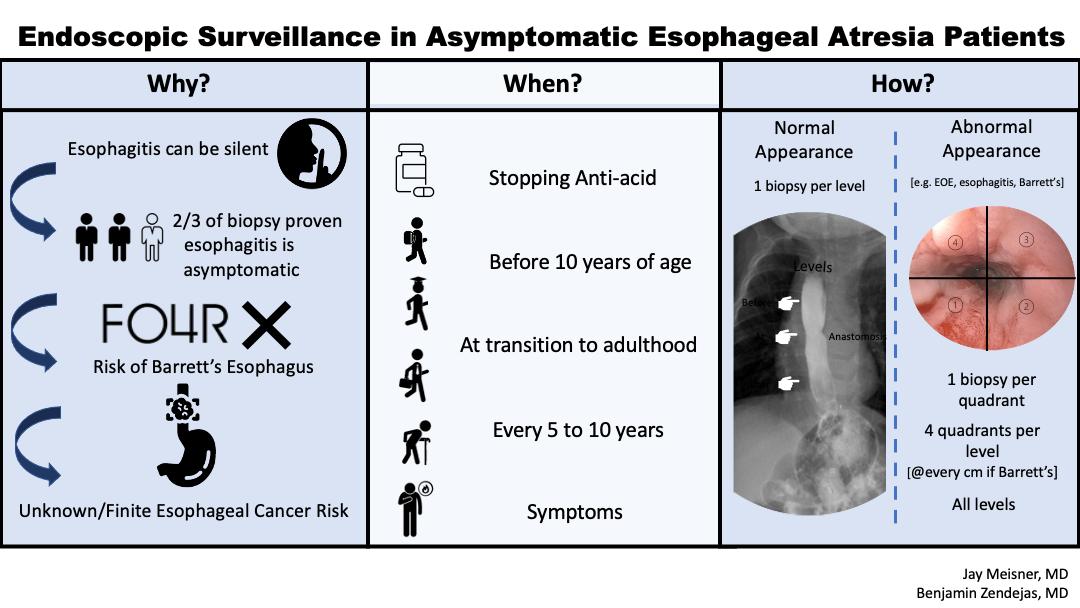 Descriptive text is not available for this image