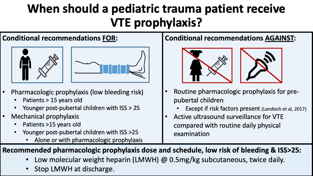 Descriptive text is not available for this image