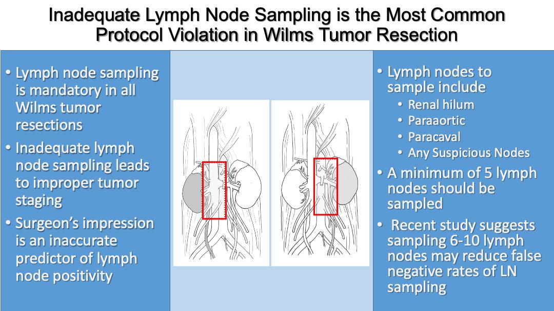 Descriptive text is not available for this image