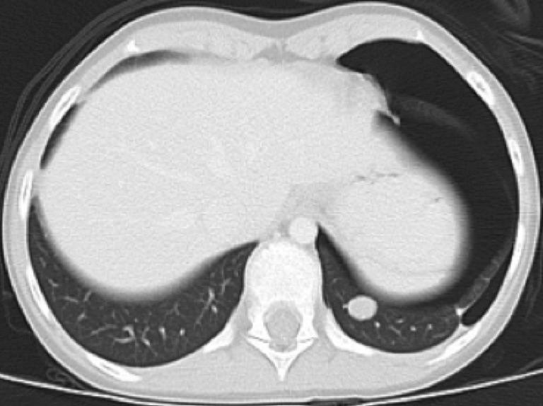 Descriptive text is not available for this image