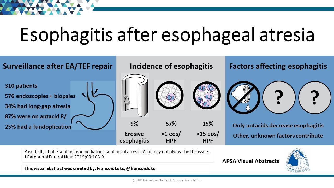 Descriptive text is not available for this image