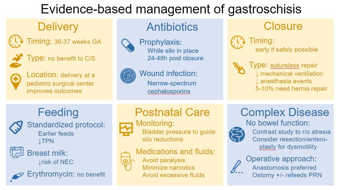 Descriptive text is not available for this image