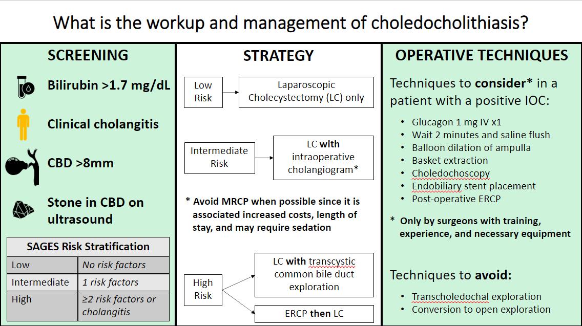 Descriptive text is not available for this image