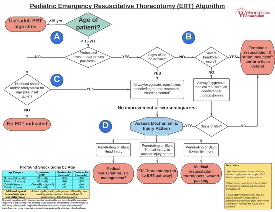 Descriptive text is not available for this image