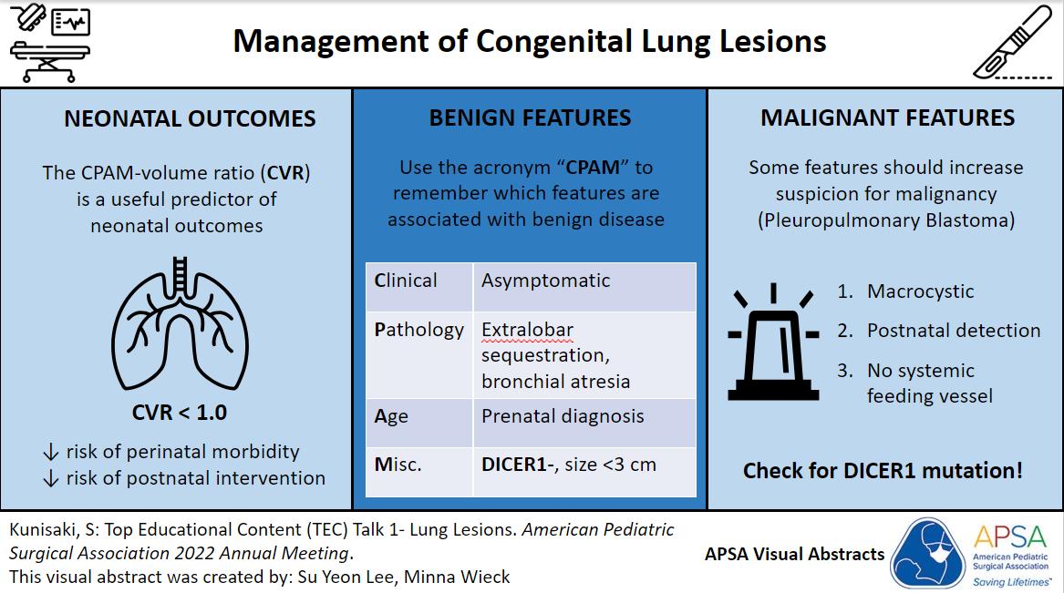 Descriptive text is not available for this image